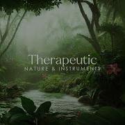 Breath Of Tranquility Sound Therapy Masters