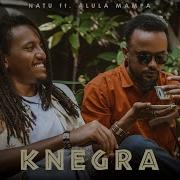 Knegra Feat Alula Mampa Release Topic