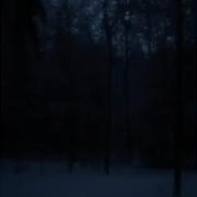 Dark Snowy Nighr Tiktok