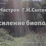 Настрои Сытина Усиление Биополя