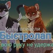 Коты Воители Клипы Грустные