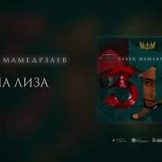 Пала Вина Лави Лавина