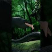 Snake Vore Part 2