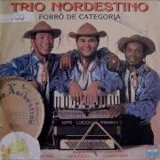 Fruto Do Amor Trio Nordestino