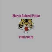 Pink Cobra Marco Galardi Pulse