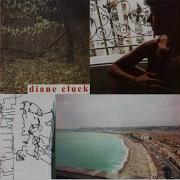 Ambulance Diane Cluck