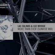 More Than Ever Las Salinas Loz Bridge