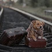 Музыка С Хорошим Смыслом