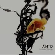 Little Honey Antix