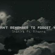 Shakira Can T Remember To Forget You Speed Up