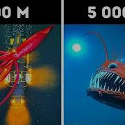 Рассказы О Морских Глубинах