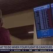 Flight Has Been Canceled