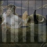 Myths Op 30 No 1 The Fountain Of Arethusa Ariadne Daskalakis Miri Yampolsky