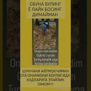 Joyingiz Jannatda Bo Lsin Жойингиз Жаннатда Булсин