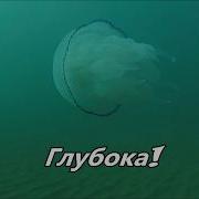 Сильна Глубока Минус