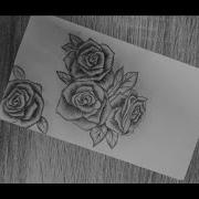 Roses Postcard