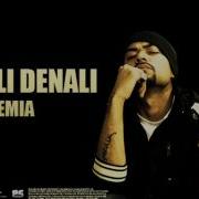 Kali Denali Bohemia Sha One