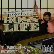 Assemble Tone Da Boss