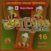 Los Altenos De La Sierra Los 4 Grandes En Vivo El Padrino Records