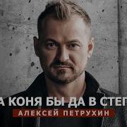 Петрухин На Коня Бы