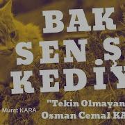 Tekin Olmayan Kedi Osman Cemal Kaygılı Sesli Kitap Dinle Türk Edebiyatı