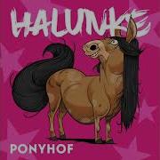 Halunke Ponytrip