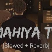 Mahiya Tu Wada Kar Slow Reverb Millind Gaba Panjabi Lofi Song Chill Beats Musiclovers Game Bài Đổi Thưởng