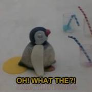 Pingu Ytp Pees