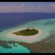 Trance Best Of Music 2023 Experience Musical Bliss With Trance Uplifting Selection