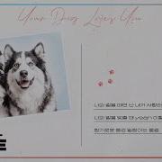 예준 은호 Your Dog Loves You