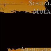 Social Mula My City