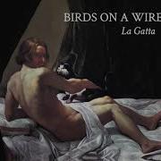 La Gatta Dom La Nena Rosemary Standley Birds On A Wire