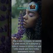 Стих Притча С Глубоким Смыслом