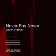 Never Say Never Colyn Remix