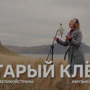 Старый Клён Ремикс