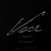 Voce Instrumental