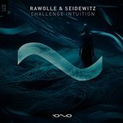 Rawolle Seidewitz Challenge Intuition