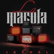 Jacool La Macula