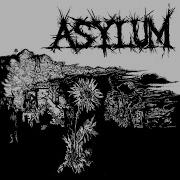 Riding High Asylum