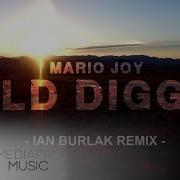 Gold Digger Mario Joy Remix