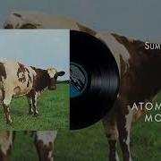 Fat Old Sun Pink Floyd