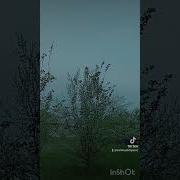Кандайсыздар Кутман Тан