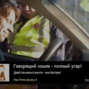 Скачать Приколы На Телефон Бесплатно