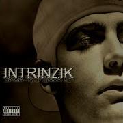 Intro Intrinzik