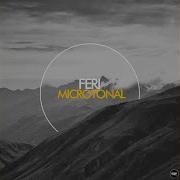 Microtonal Feri