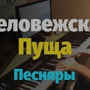 Беловежская Пуща Фортепиано