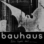 Behaus