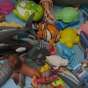 Sea Animals Names Toy