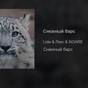 Lida Снежный Барс