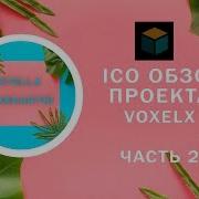 Voxelx Обзор Ico Проекта Часть 2